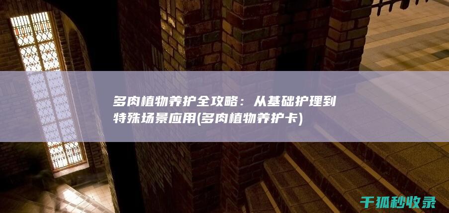 多肉植物养护全攻略：从基础护理到特殊场景应用 (多肉植物养护卡)