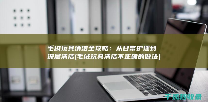 毛绒玩具清洁全攻略：从日常护理到深层清洁 (毛绒玩具清洁不正确的做法)