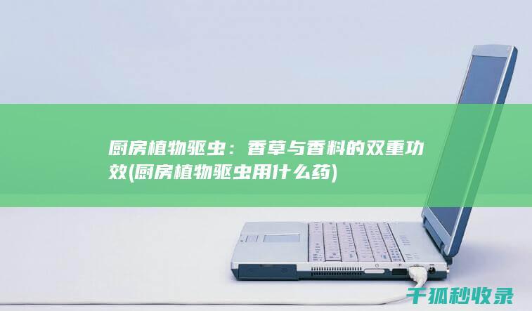 厨房植物驱虫：香草与香料的双重功效 (厨房植物驱虫用什么药)