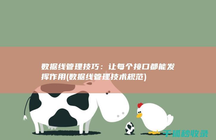 数据线管理技巧：让每个接口都能发挥作用 (数据线管理技术规范)