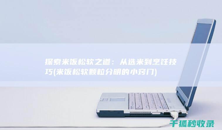 探索米饭松软之道：从选米到烹饪技巧 (米饭松软颗粒分明的小窍门)