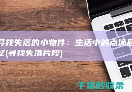寻找失落的小物件：生活中的点滴回忆 (寻找失落片段)