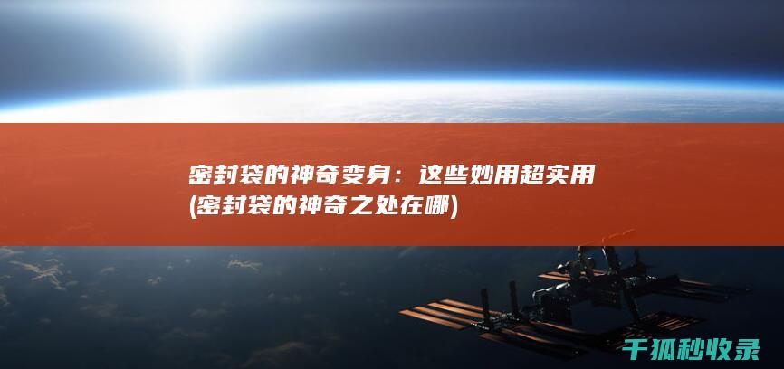 密封袋的神奇变身：这些妙用超实用 (密封袋的神奇之处在哪)