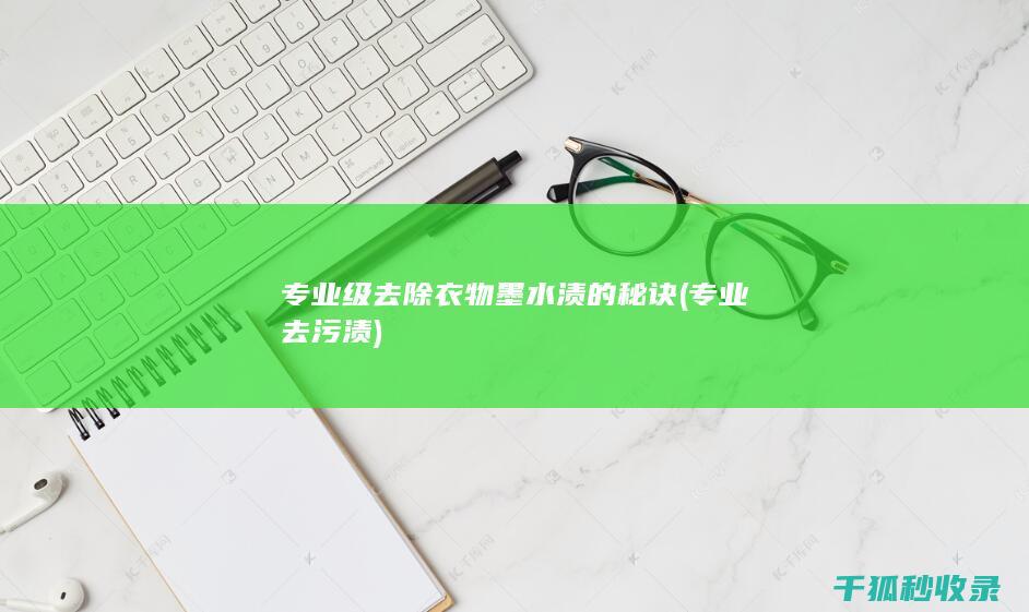 专业级去除衣物墨水渍的秘诀 (专业去污渍)