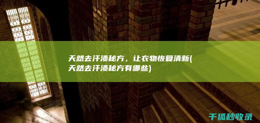 让衣物恢复清新