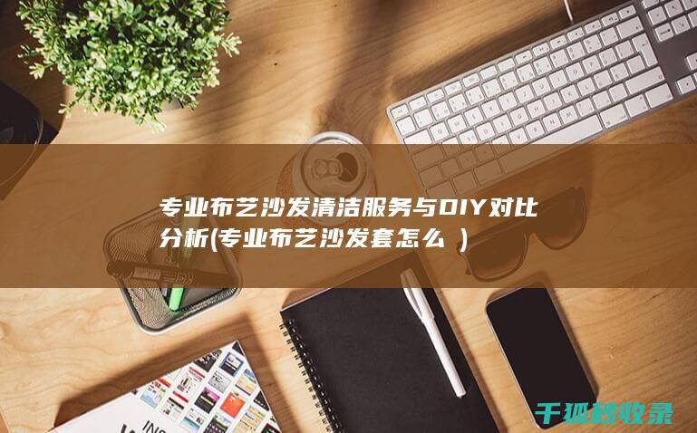 专业布艺沙发清洁服务与DIY对比分析 (专业布艺沙发套怎么洿)