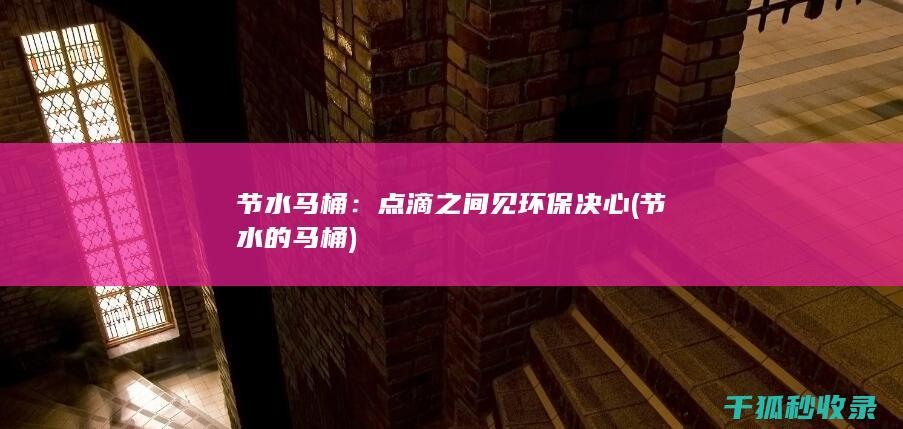 节水马桶：点滴之间见环保决心 (节水的马桶)