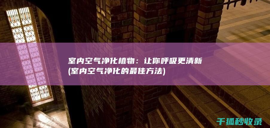 室内空气净化植物：让你呼吸更清新 (室内空气净化的最佳方法)
