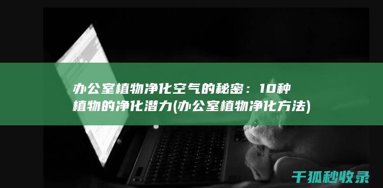 办公室植物净化空气的秘密：10种植物的净化潜力 (办公室植物净化方法)