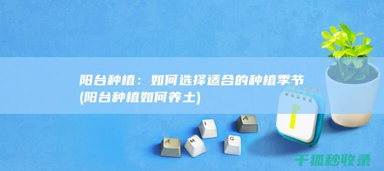 阳台种植：如何选择适合的种植季节 (阳台种植如何养土)