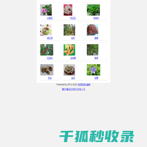 中药药用价值网