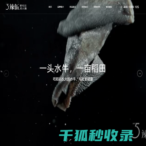 辣伍鲜毛肚老火锅